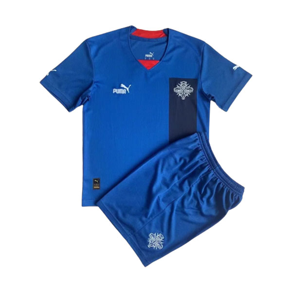 Kids 2022 Iceland Home Soccer Kit Team Soccer Jerseys
